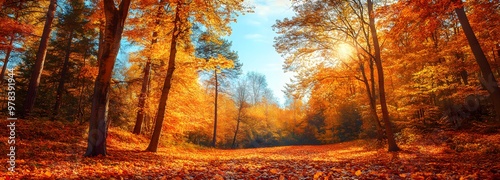 41. **A vibrant autumn forest with trees in full fall color and a carpet of leaves on the ground. The sky is clear, and the sunlight filters through the branches.