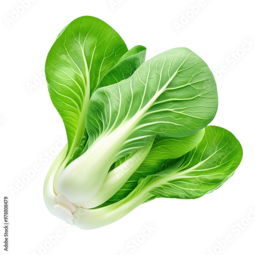 Fresh bok choy isolated on a white background. png