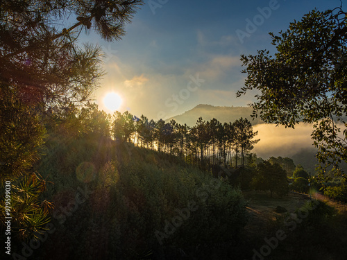 Amanecer en el campo entre árboles y montañas