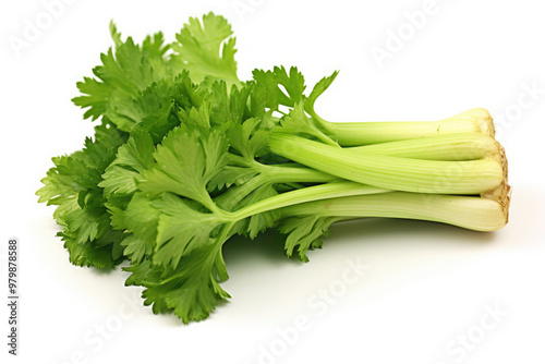 Fresh green celery stalks with leafy tops arranged neatly on a white background for culinary preparation. Generative AI