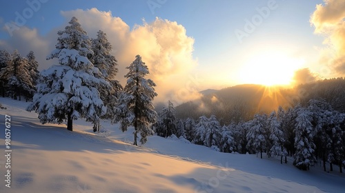 Uludağ National Park, located 36 km south of Bursa, is one of Turkey’s top winter sports destinations. Known for skiing, it also boasts a rich diversity of flora and fauna