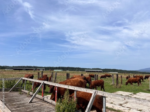 lato podruże po krajach , europa nocą i dniem nad morzem i w środku miasta .