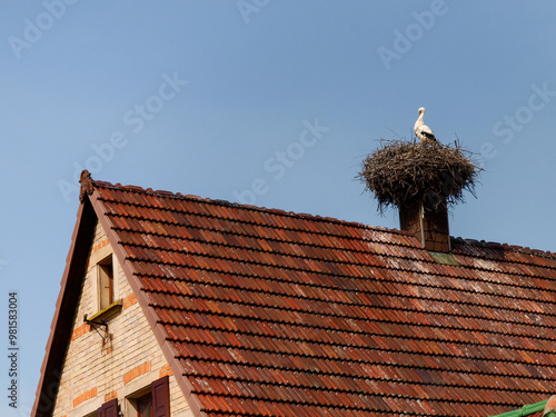 stork in the nest up in the chimney