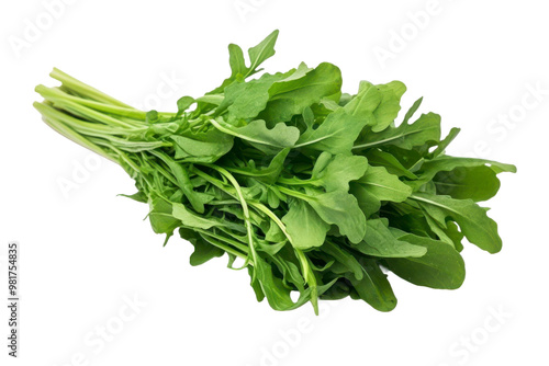 A bunch of fresh arugula with green leaves and stems