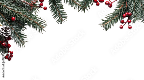 christmas tree branches