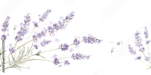 Watercolor lavender flowers frame border isolated on transparent background