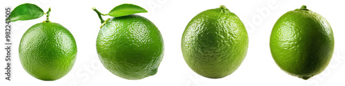 Close up of vibrant green limes with attached leaves on a plain white background The limes have a spherical shape glossy skin