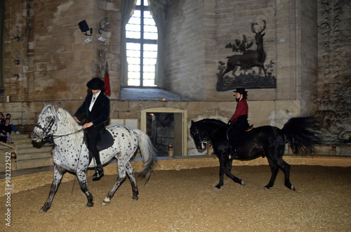 Cavaliers, Musée du chaval. Chantilly