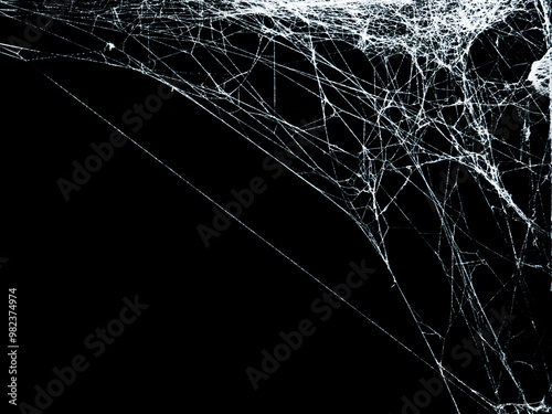 White threads of spider web on right angle corner close up view isolated on black