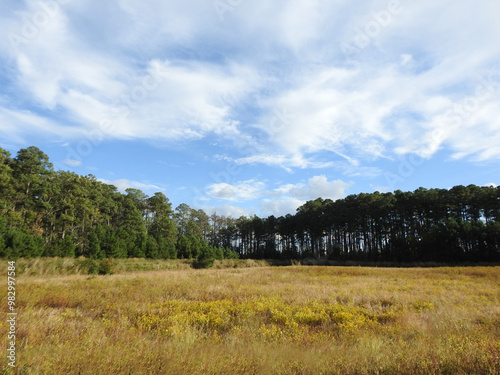 The beautiful scenery of the blackwater National Wildlife Refuge, during the autumn season, Dorchester County, Cambridge, Maryland