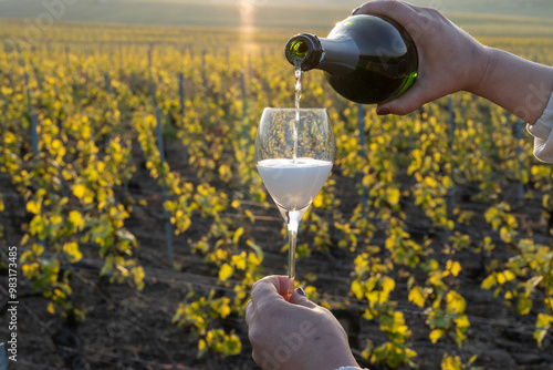 Tasting of grand cru sparkling brut white wine champagne on sunny vineyards of Cote des Blancs in village Cramant, Champagne, France