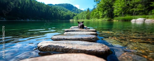 Rustic wooden bridge over a babbling brook, idyllic crossing, nature's path, peaceful ambiance :: skipping stones, photography, peaceful contemplation