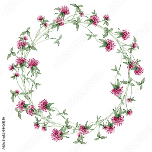 Wreath of red flower meadow, forest flowers. Watercolor hand painting botanical illustration on isolate. Chaplet or circlet of flowers with clover.