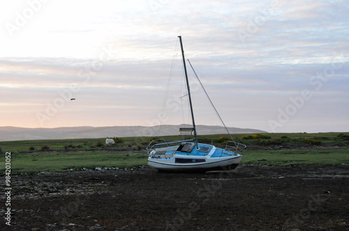 Minimalistic moody landscape with lonely sheep and boat on the lake shore during low tide near the mountain