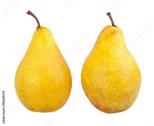 yellow pears path isolated on white