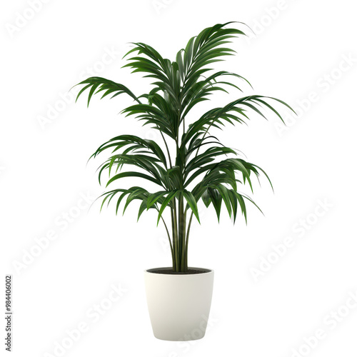 A vibrant indoor plant with lush green leaves in a white pot, perfect for adding a touch of nature to any space.