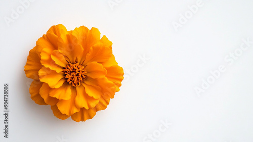 Vibrant marigold flowers arranged for Diwali celebrations in an artistic display