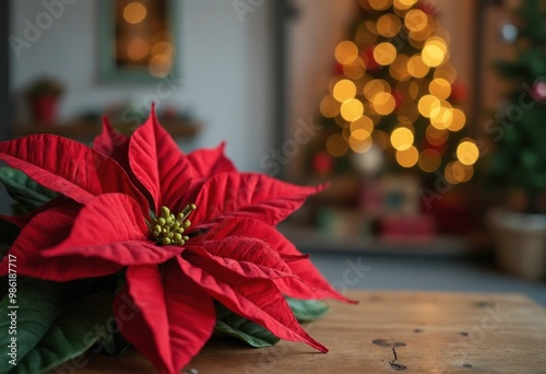 Close-up shot of a poinsettia resting on a wooden table, background of a house decorated for Christmas, copy space on a side