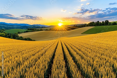 A panoramic view of rolling hills covered in golden fields, with the sun setting in the distance