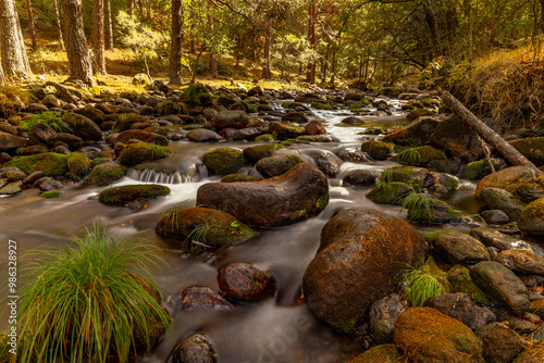 arroyo angostura sierra de Guadarrama