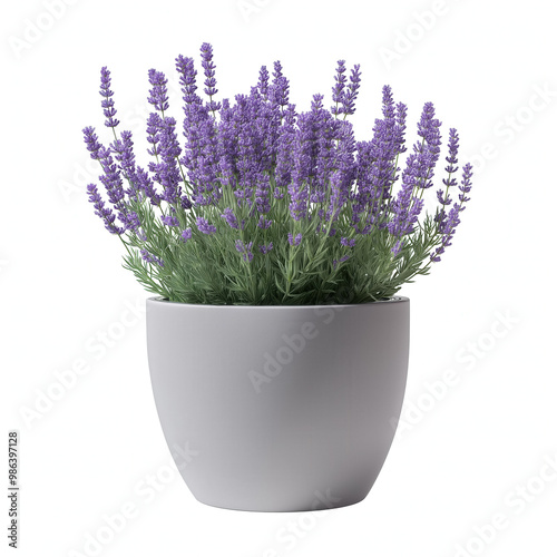 Flower Planter Isolated