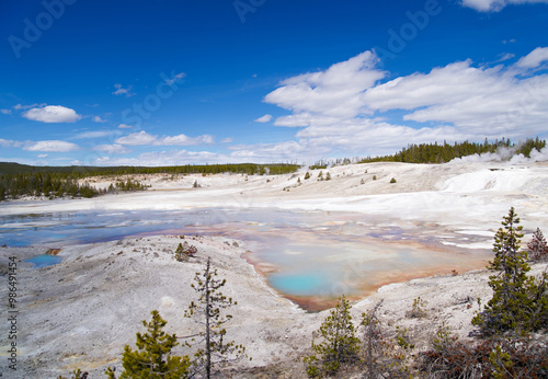 Norris Geyser Porcelain Basin