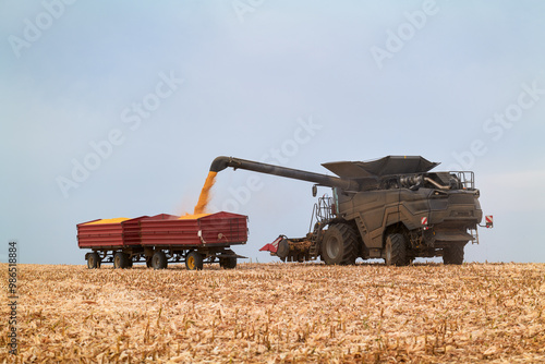 Combine Harvester Unloading Corn in Field During Harvest