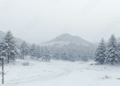 Snowy Morning at Mount Mitchell