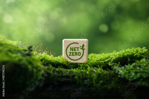 Net zero and carbon neutral concept. Net Zero Greenhouse Gas Emissions Target, Climate Neutral Long-Term Strategy on Green Background