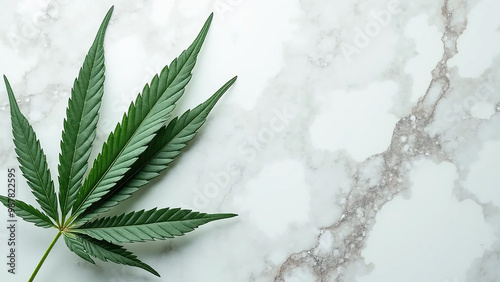 Hemp leaves on a background, widescreen 16:9, 300 dpi, with free space for text