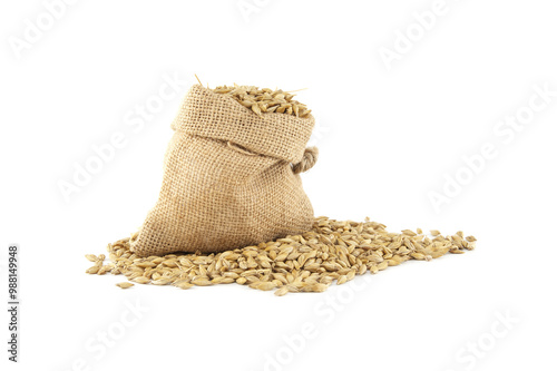 Barley grain seeds spilling from a jute sack over white