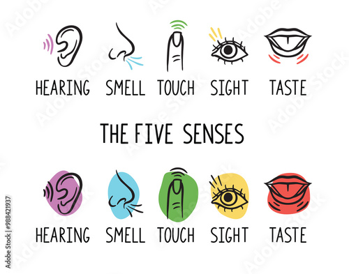 5 human senses illustrations. Taste, sight, touch, smell and hearing. Tongue, eye, finger, nose and ear. Trendy doodle hand drawn thin line icon 