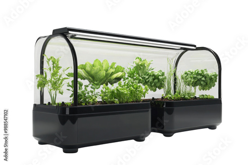 Modern indoor hydroponic garden with fresh herbs and greens, white isolate background.