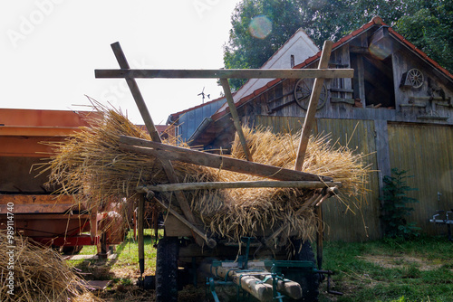 Harvested sheaves of grain on a harvest cart with bright golden straw in the sun