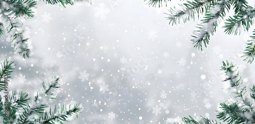 Snowy Christmas Tree Branches Background