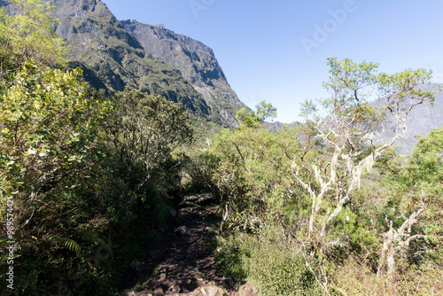 Landscape view of trekking in cirque at La Reunion