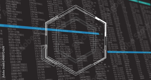 Hexagonal shape over redacted data and coding image