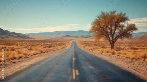 A tranquil desert road stretches into the horizon beneath a clear blue sky, flanked by dry landscapes and a solitary tree.