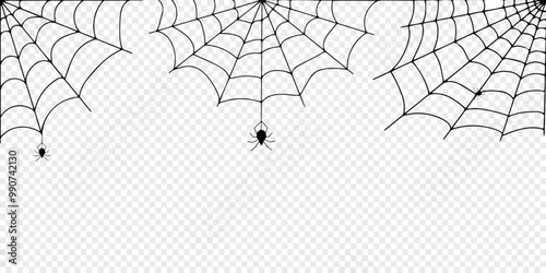 Halloween spider web and spiders isolated on white background. Black spider and torn web. Scary spiderweb of halloween symbol