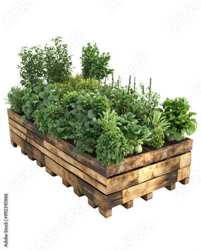 Wooden planter filled with various fresh herbs and greens.