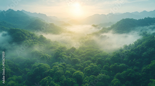 lush rainforest canopy, showcasing the vibrant green foliage and dense vegetation. This image symbolizes nature's abundance, resilience, and the interconnectedness of life