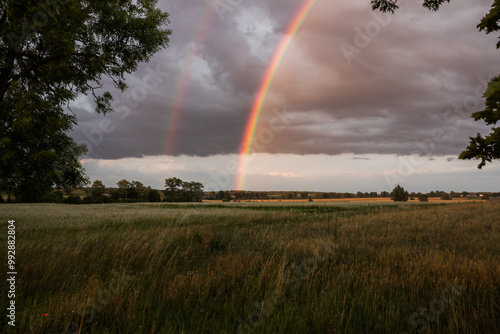 beautiful double rainbow over the meadow, rainbow, double rainbow, phenomenon, weather, August, late summer, polarizing filter, colorful