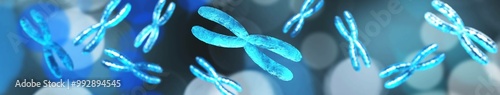 X chromosome, human genome, , 3d rendering