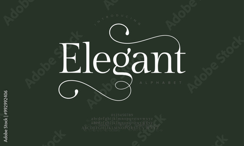 Elegant typography beauty fashion elegant minimalist serif italic fonts decorative wedding vintage retro logos. Minimal luxury font alphabet logo. Vector illustration