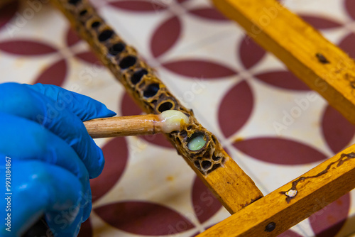 Royal jelly on the wooden spoon in focus. Harvesting the royal jelly