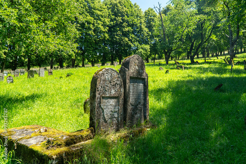 Kirkut w Ustrzykach Dolnych 