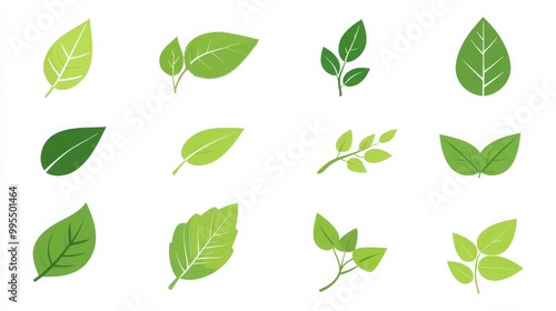 Green leaf icon set for natural, eco, vegan, and bio labels. 