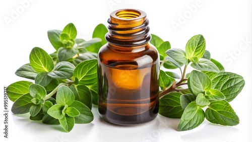 Small glass bottle full of essential oil is standing on a white surface surrounded by fresh oregano sprigs