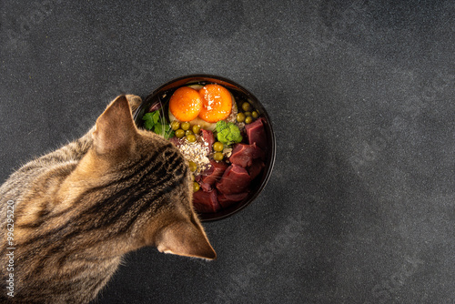 BARF (Biologically Appropriate Raw Food) food concept, Healthy bowl for domestic pets background with cat cute tabby kitten paws in pic. Portion of raw meat, chicken, fish, vegetables, oats