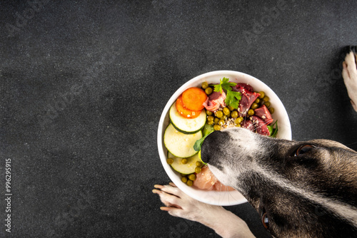 BARF (Biologically Appropriate Raw Food) food concept, Healthy bowl for domestic pets background with dog paws in pic. Portion of raw meat, chicken, fish, vegetables, oats